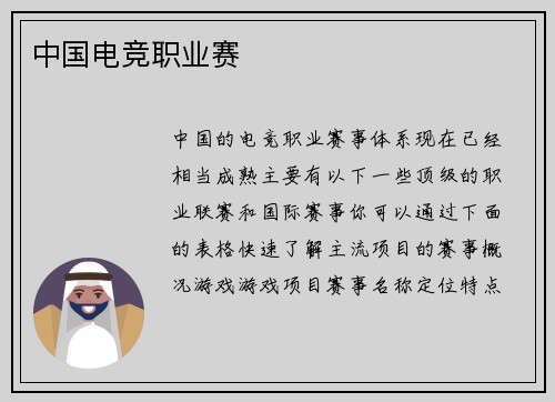 中国电竞职业赛
